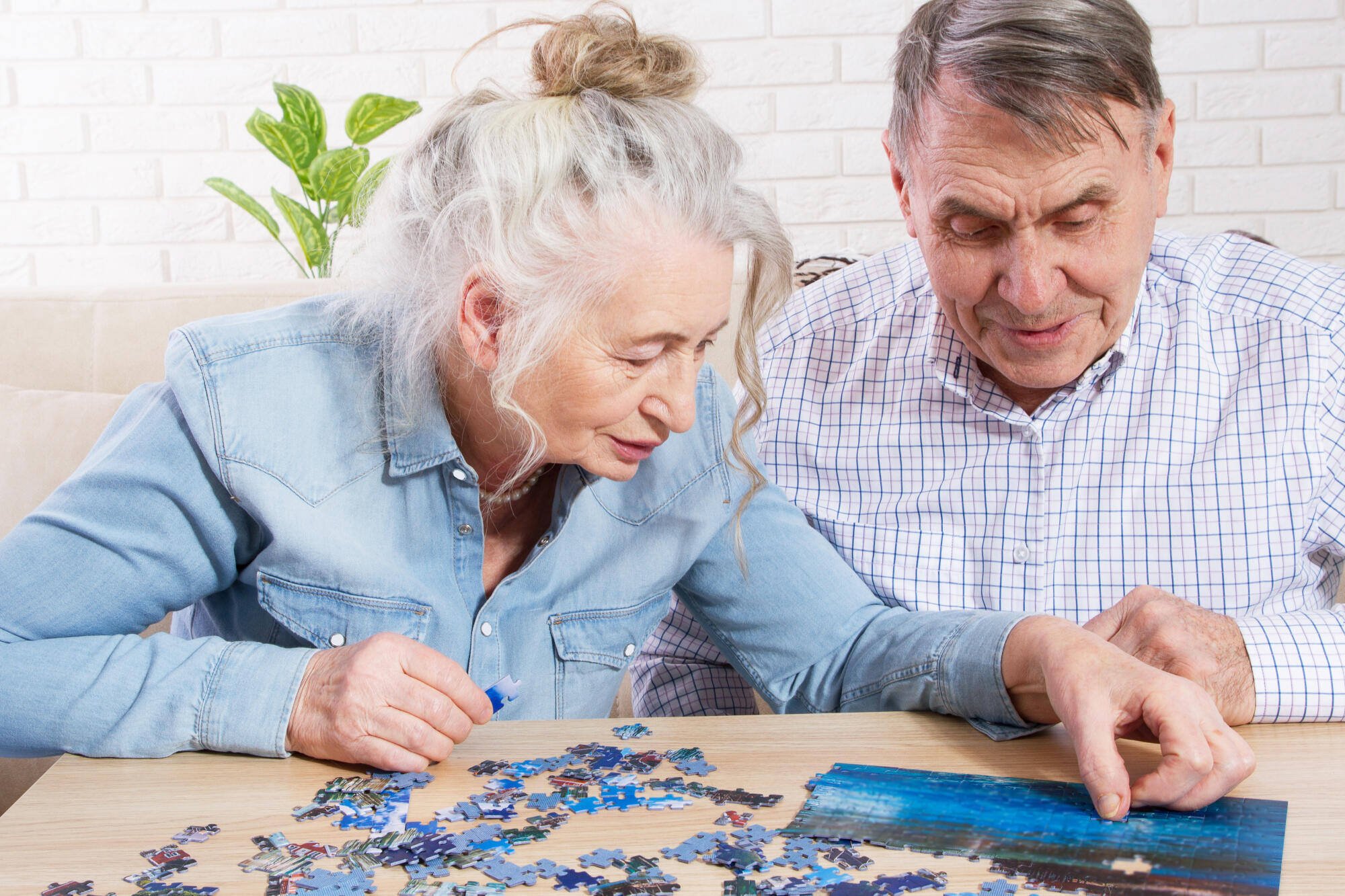 Prevent Cognitive Decline in Seniors-2